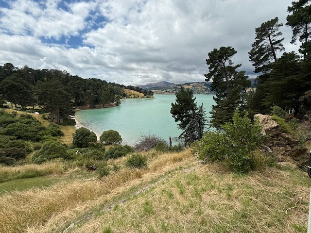 鹌鹑岛-基督城必去景点