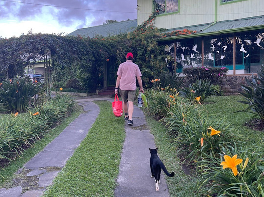 Academia Tica-圣何塞必去景点