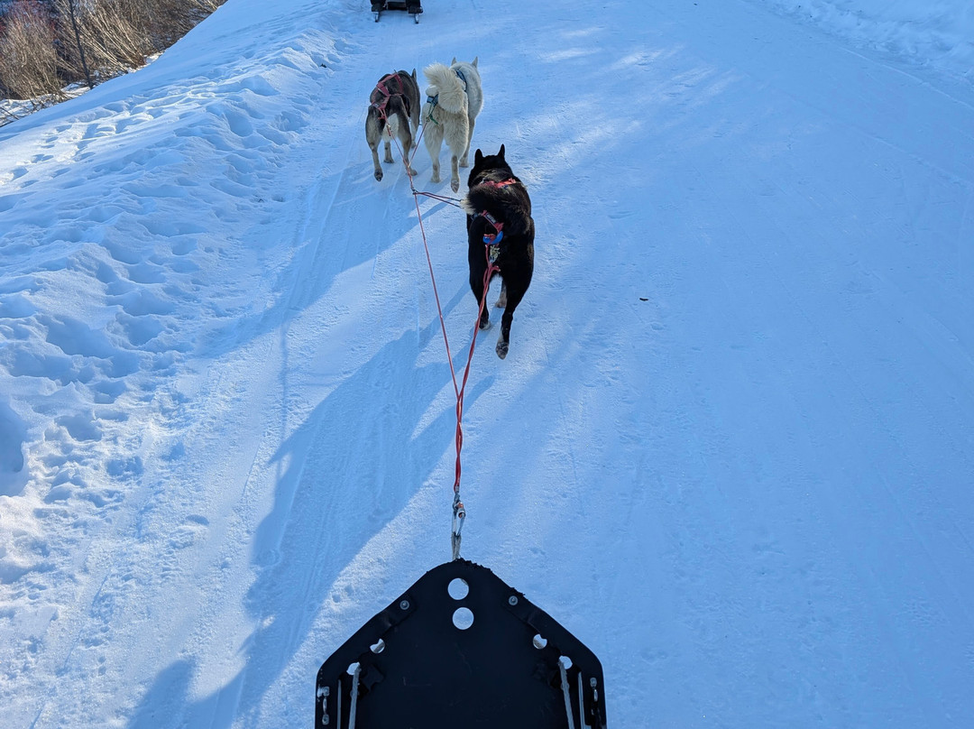 L’Aventure en Traîneau-Vinzier必去景点