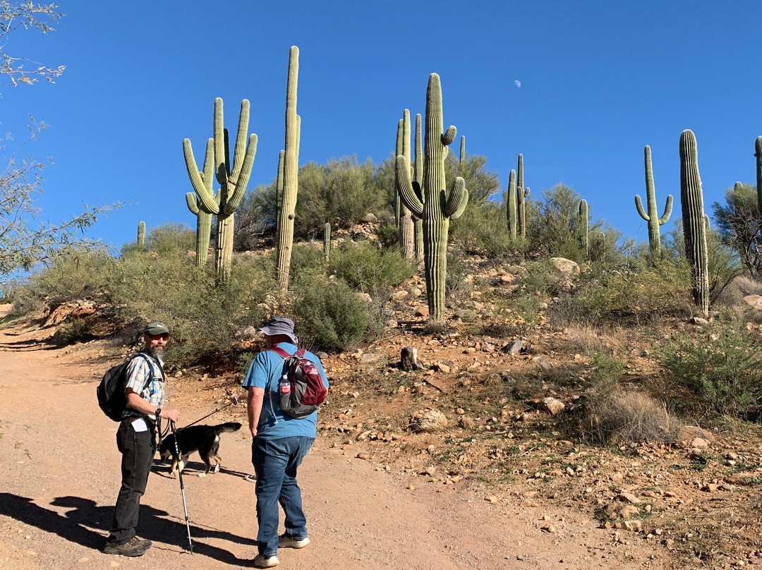 Catalina State Park-图森必去景点