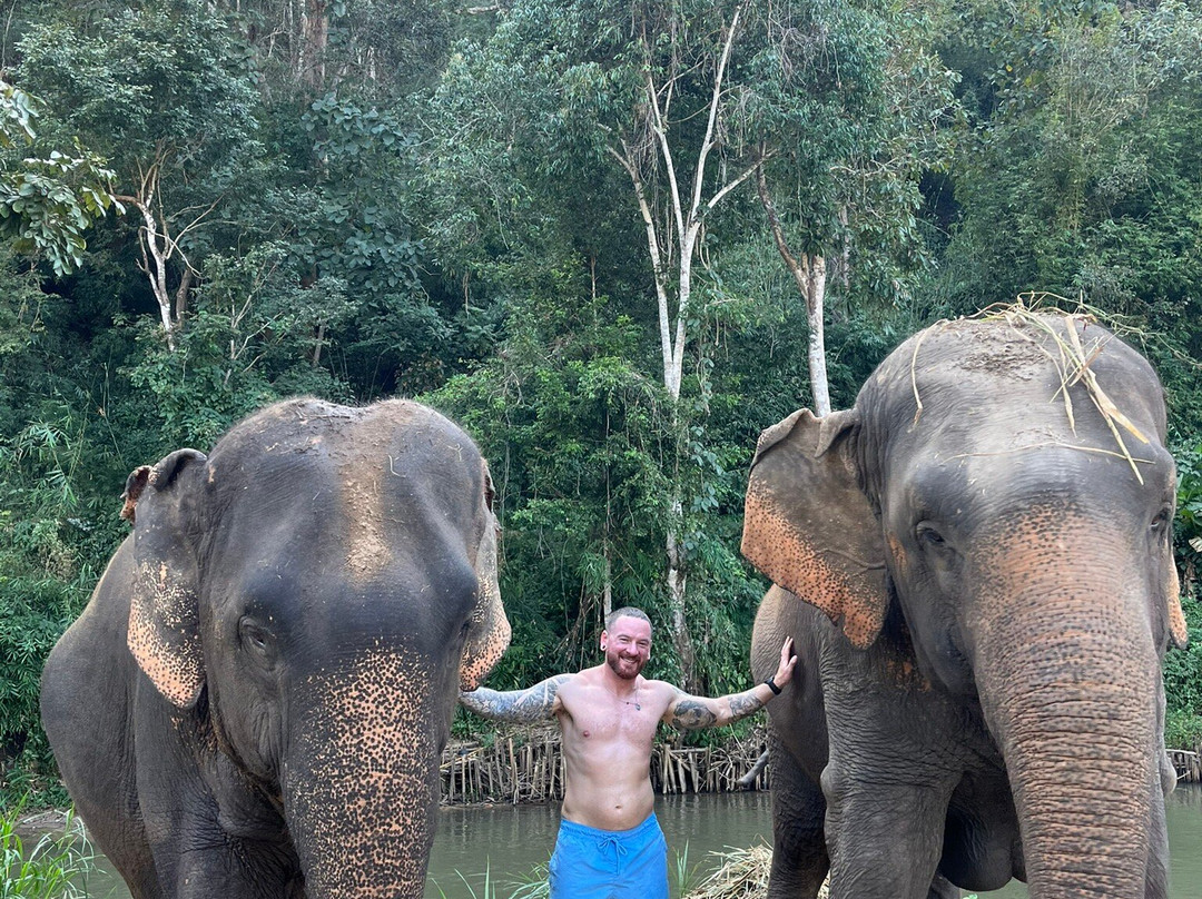 Pon Elephant Thailand-清迈必去景点