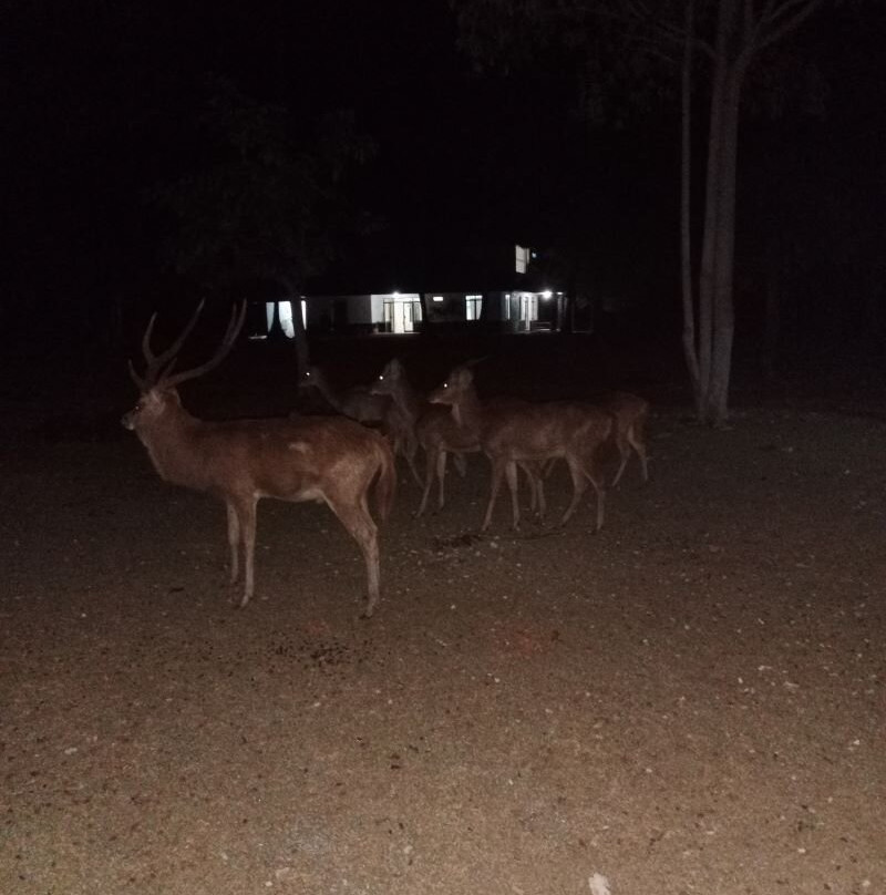 Ujung Kulon Trek-Carita必去景点