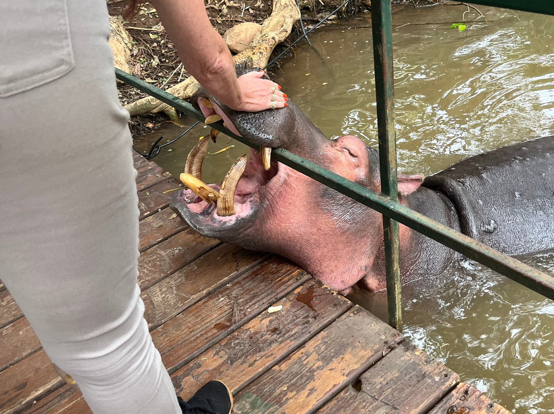 Bushbaby Adventures-伐拉博瓦必去景点