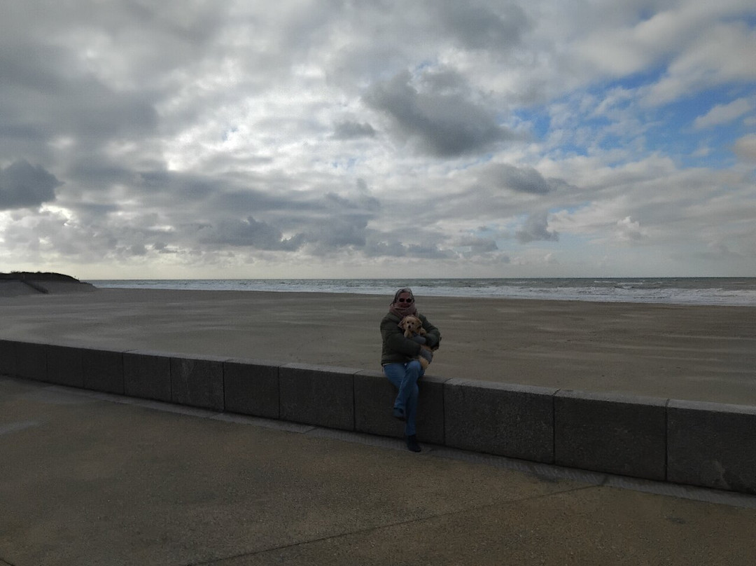 Berck Sur Mer-Berck必去景点