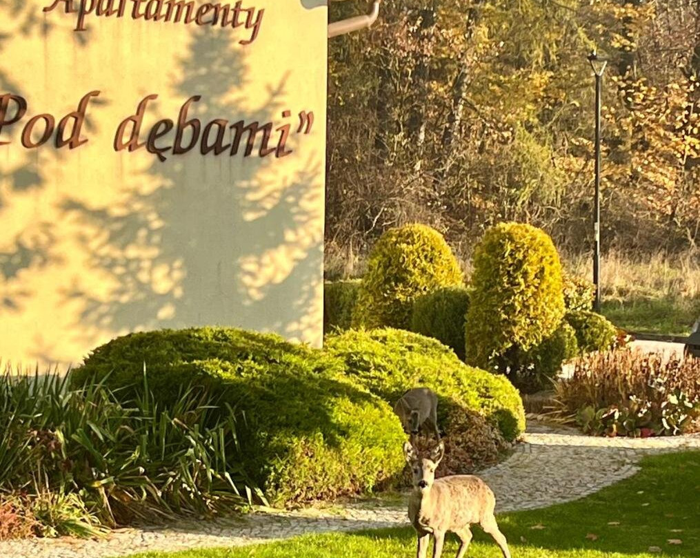 Hronov酒店住宿-Willa Pod Debami