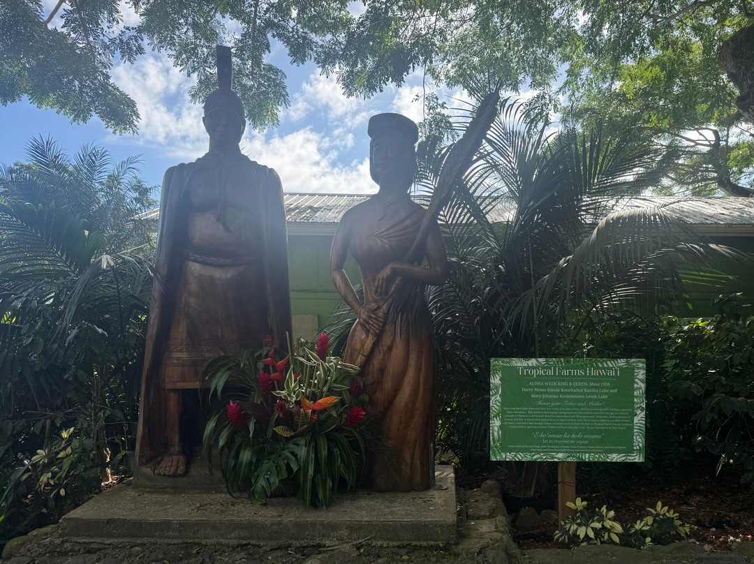 ALLSTAR TRANSPORTATION & TOURS LLC-瓦胡岛必去景点