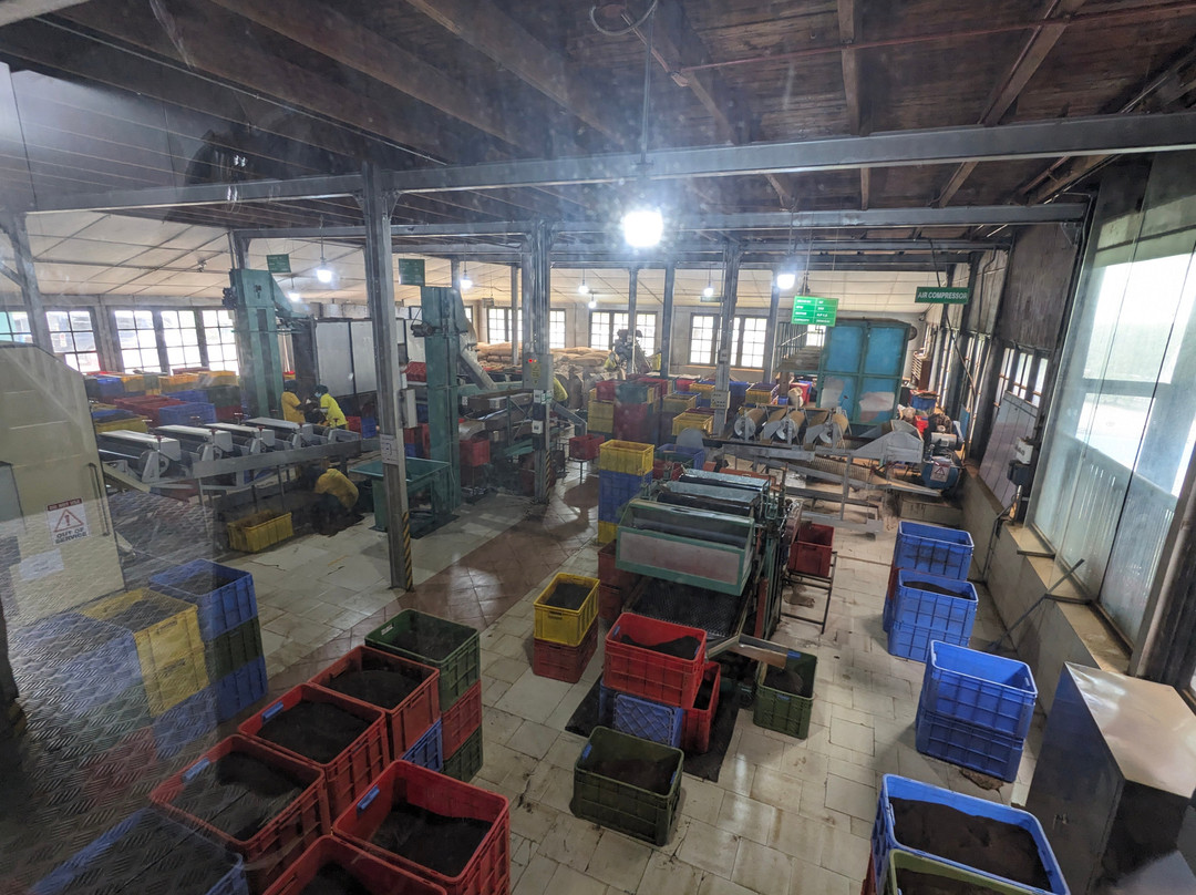 Rk tours (travel with ragu) nanuoya-Nanu Oya必去景点