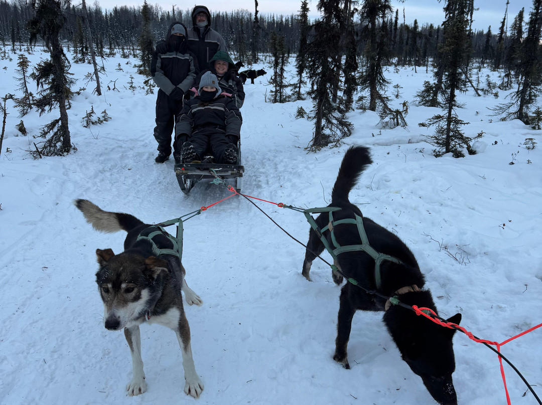 Snowhook Adventure Guides of Alaska-Willow必去景点