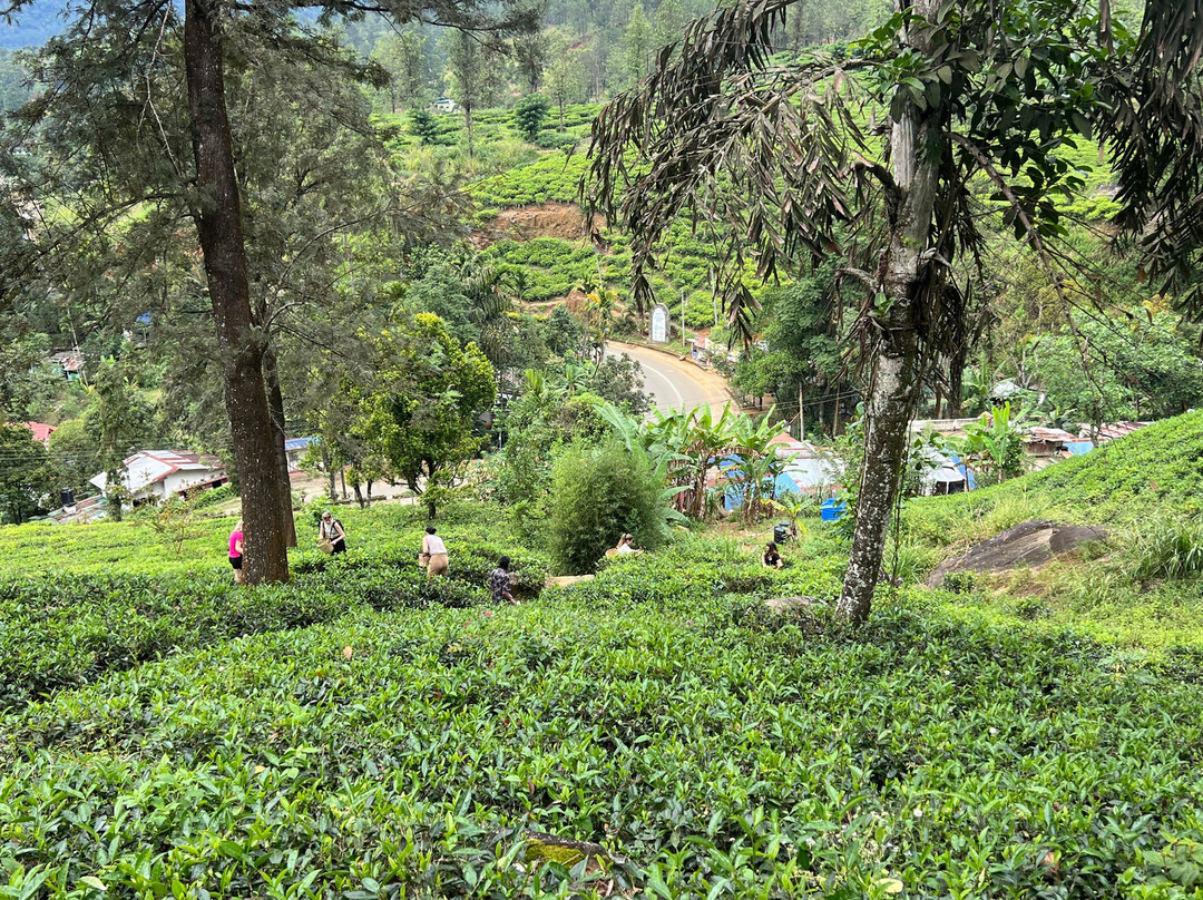 Visit Adventure Lanka Travel-Ragama必去景点