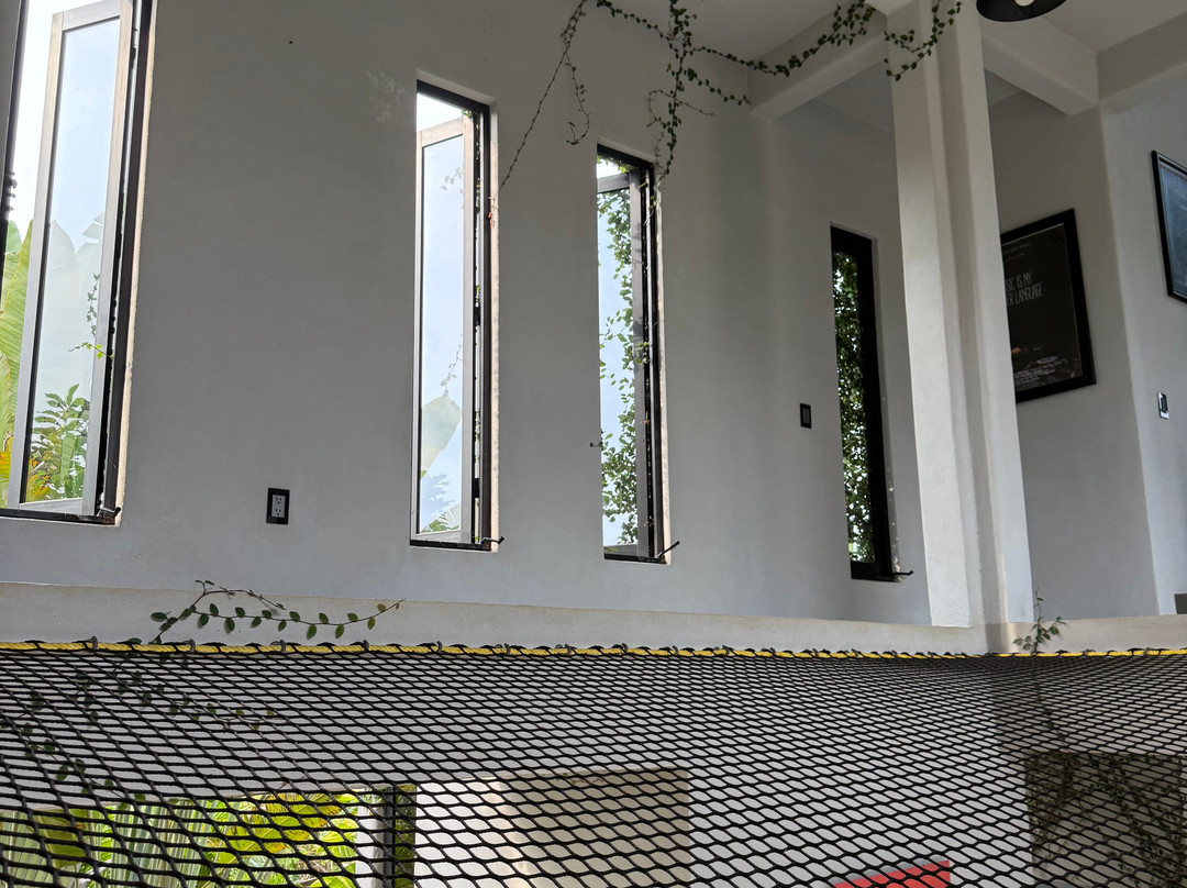 Experience Saladita-La Saladita必去景点