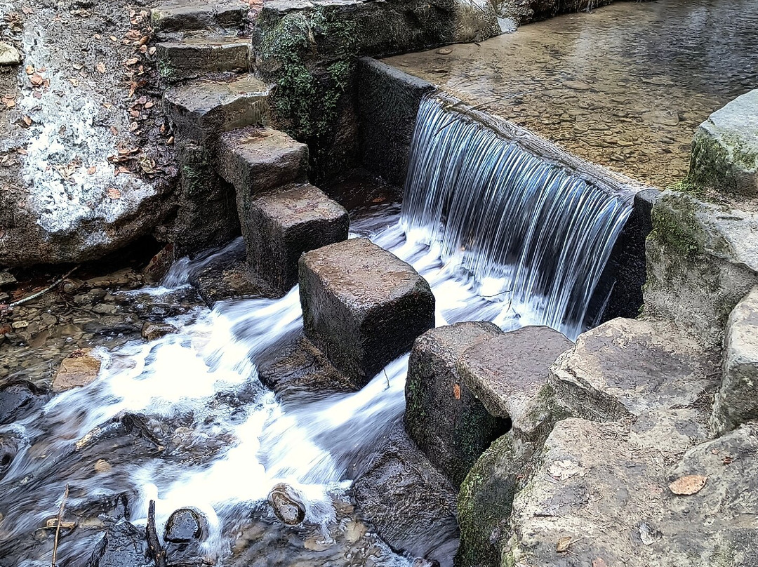 Hackfall Wood-里彭必去景点