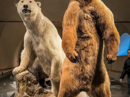 Museo di Storia Naturale - Universita di Pisa-Calci必去景点