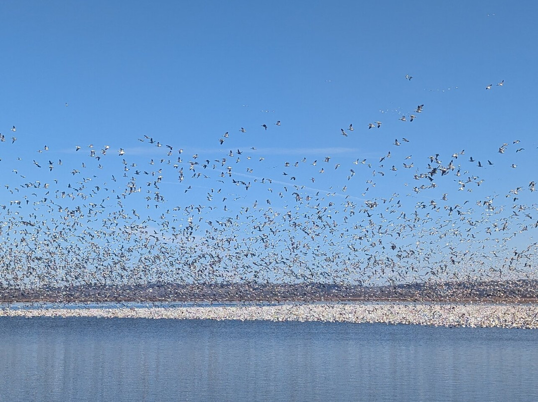 Loess Bluffs National Wildlife Refuge-Mound City必去景点