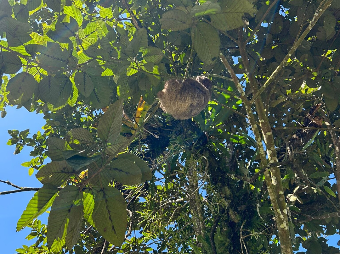 Maleku Tours-利比里亚必去景点