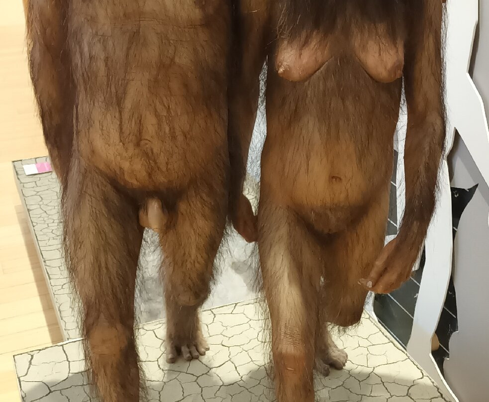 MUSE - Science Museum-特伦托必去景点