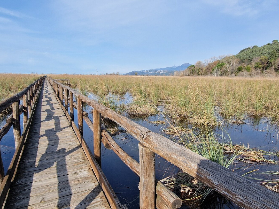 Lake Massaciuccoli-Torre del Lago Puccini必去景点