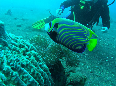 Tour Dive Bali-图兰本必去景点