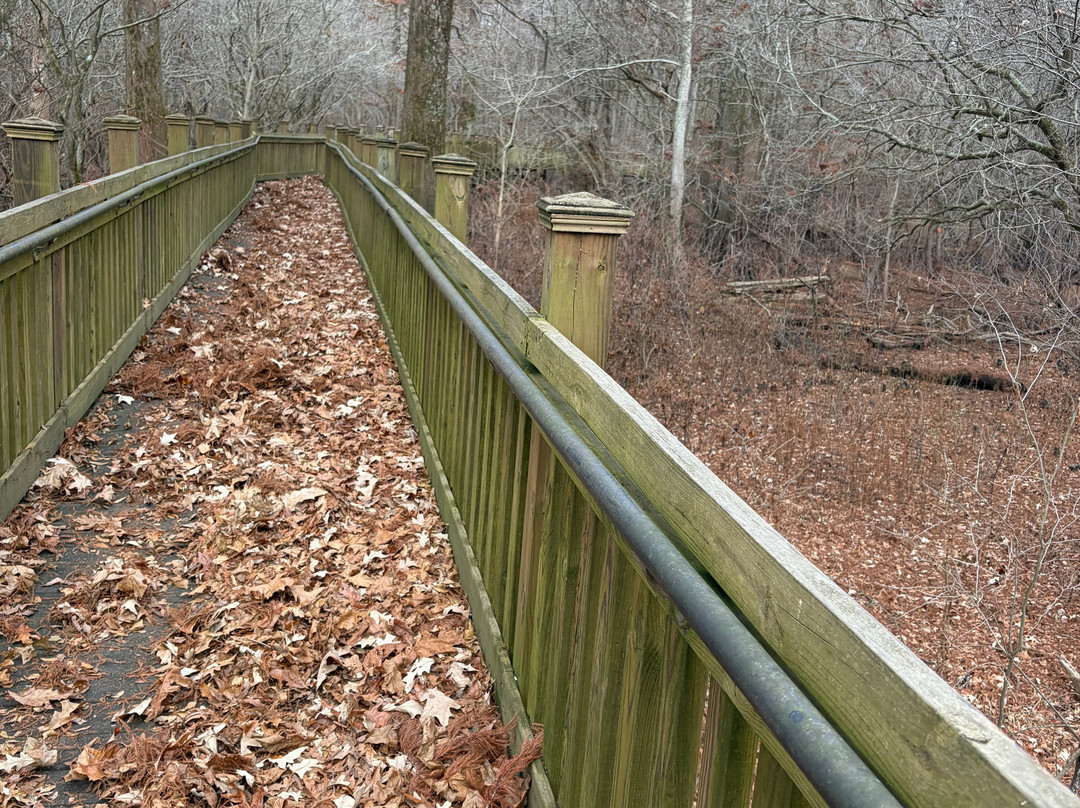 Sky Lake Boardwalk-Belzoni必去景点