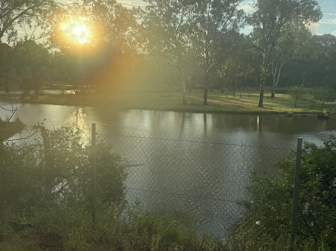 Queensland Pioneer Steam Railway Co-op Ltd-伊普斯威奇必去景点