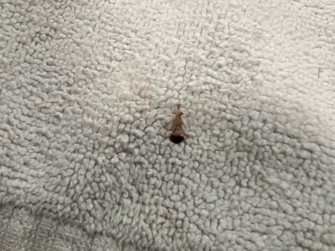 La Quinta Inn & Suites by Wyndham Hobbs主图