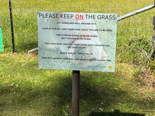 The Truffle Farm Tasmania-德洛兰恩必去景点