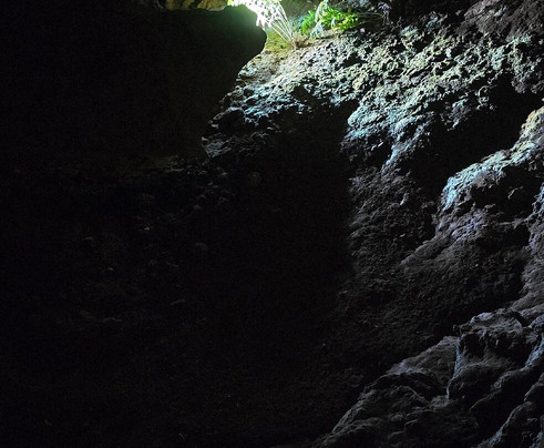 The Lost Sea Adventure-Sweetwater必去景点