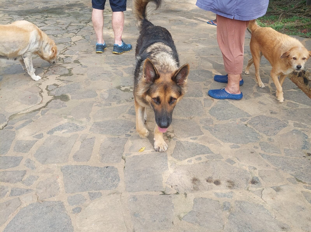 Ceylon Links Tours-Rathgama必去景点