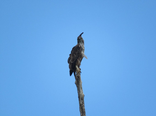 Best of Lanka-科伦坡必去景点