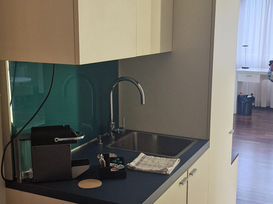 国旗苏黎世酒店主图