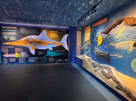 Centro de Investigaciones Paleontologicas - CIP-莱瓦镇必去景点