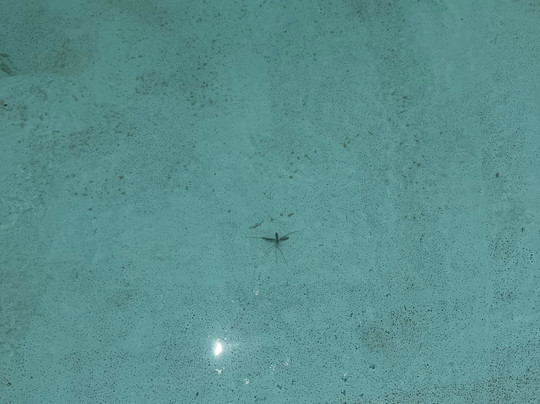 Tessa's On The Beach Boutique Hotel主图