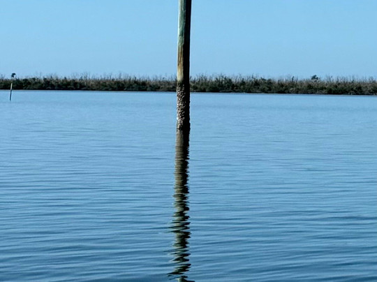 Tarpon Bay Explorers-萨尼贝尔岛必去景点