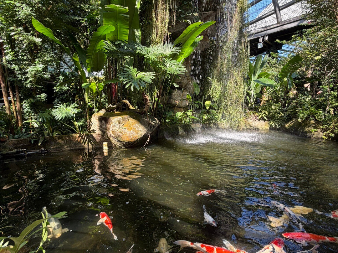 蟲鳴大地-巴巷海滩必去景点