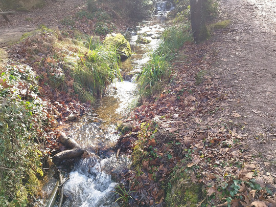 Xenonas Evrostini主图