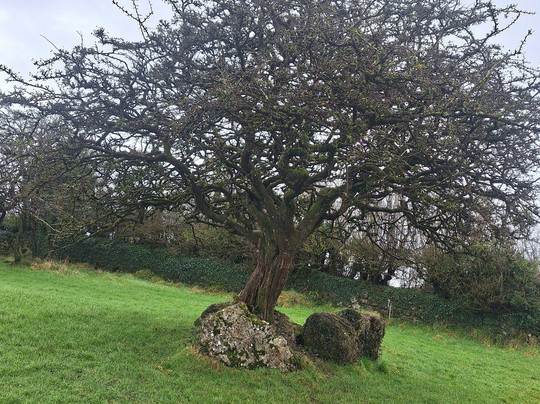 Hill of Uisneach-Killare必去景点