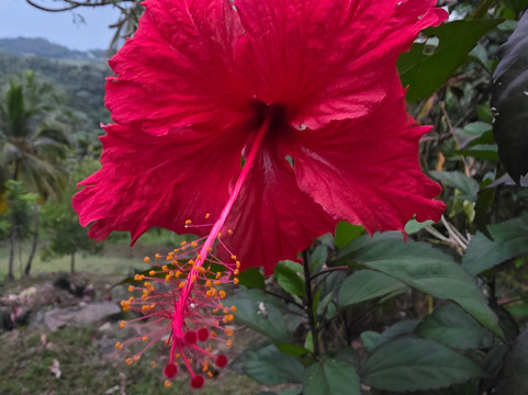 OlympiaOnBoard-Las Galeras必去景点