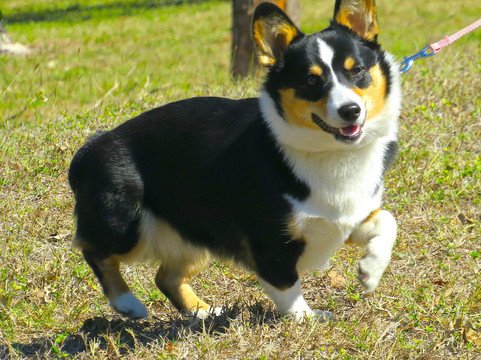 Rotary Park Environmental Center-开普科勒尔必去景点