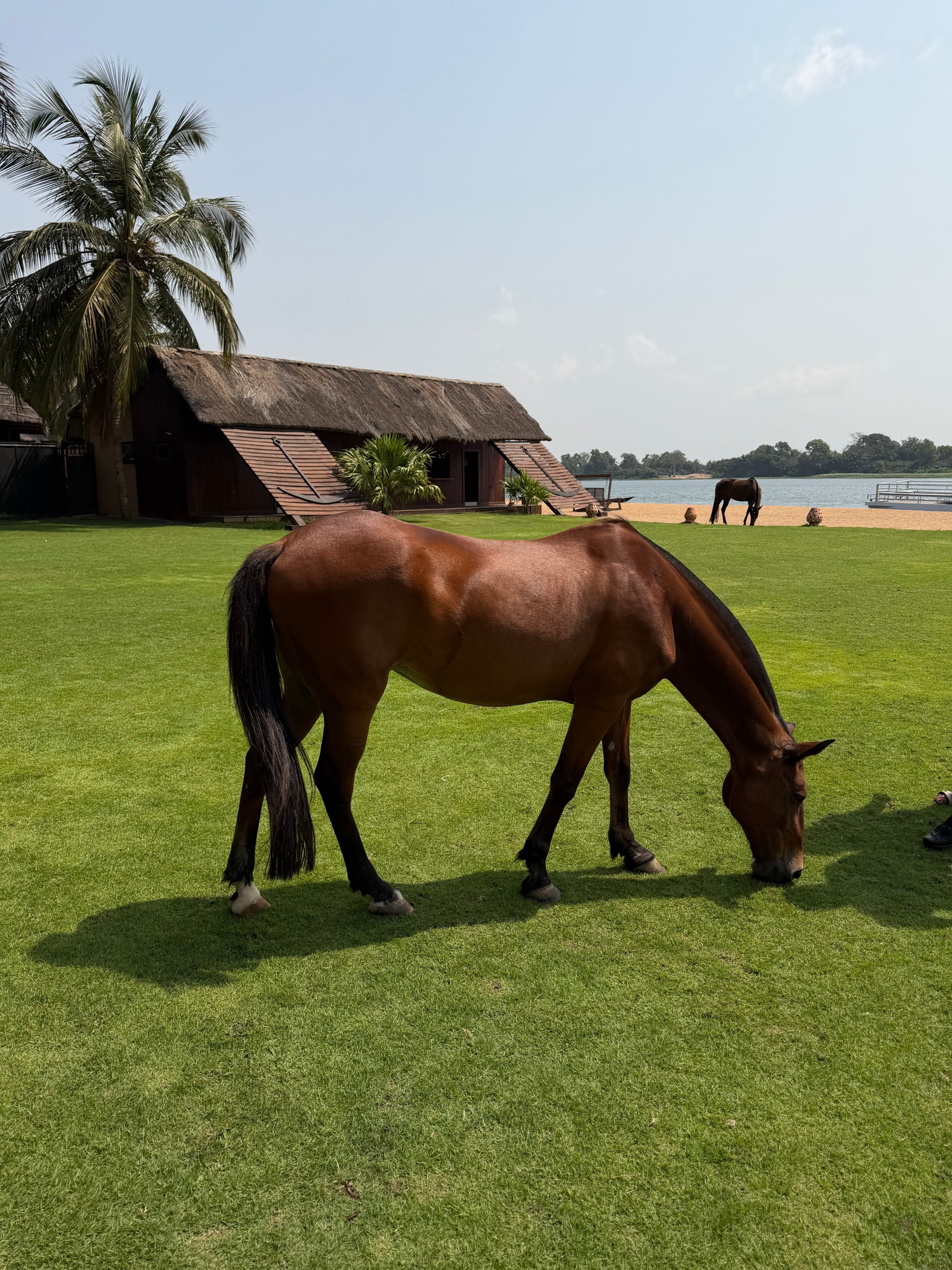 Aqua Safari Resort-官方