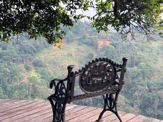 Periyar Wildlife Sanctuary-帖可迪必去景点