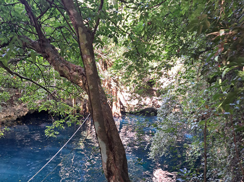 Cenote Verde Lucero-从莫雷洛斯港必去景点