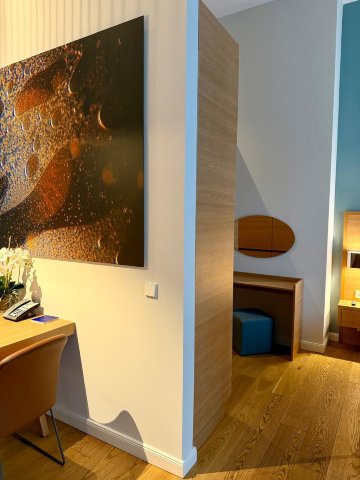 杜塞尔多夫威勒姆,凯悦成员-客卧