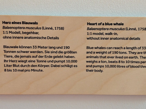 Übersee-museum Bremen-不莱梅必去景点