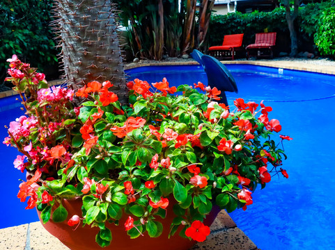 卡迈克尔之家精品酒店主图