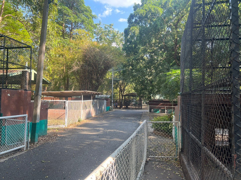 Lopburi Zoo-华富里必去景点