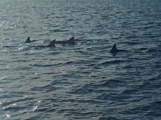 Karlos Excursions-莫纳山必去景点