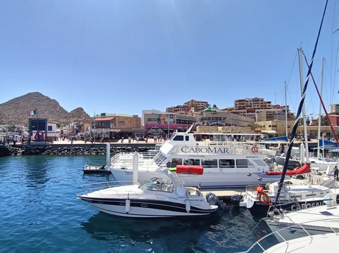 Marina Cabo San Lucas-卡波圣卢卡斯必去景点