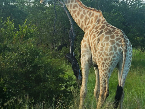 Pabeni Gate Kruger National Park-雾观必去景点