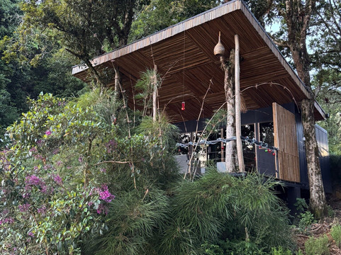 Cerro de la Muerte-圣何塞省必去景点