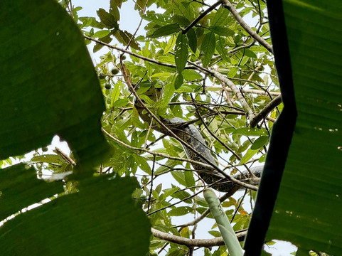 Alex On The Beach Tours-萨迪纳尔必去景点
