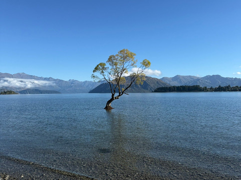 Wild Kiwi Tours-奥克兰中心地区必去景点